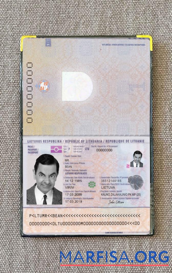 Downloadable Lithuania passport photo look real example